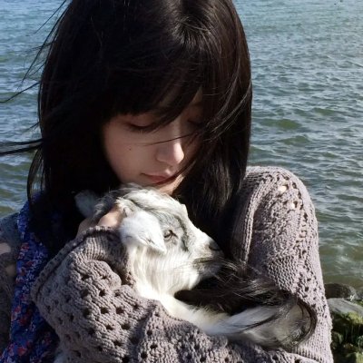 狂犬病 在线观看